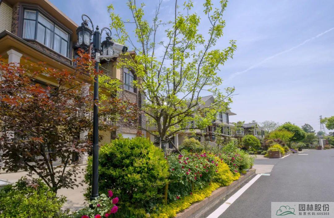 亚洲精品白浆高清久久久久久