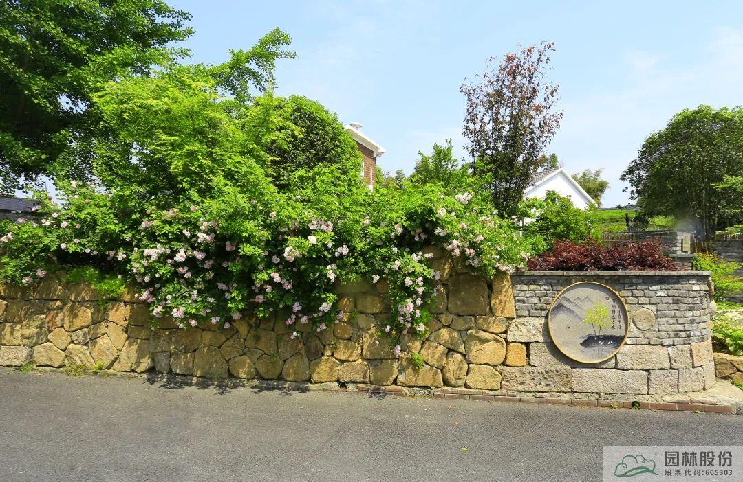 亚洲精品白浆高清久久久久久