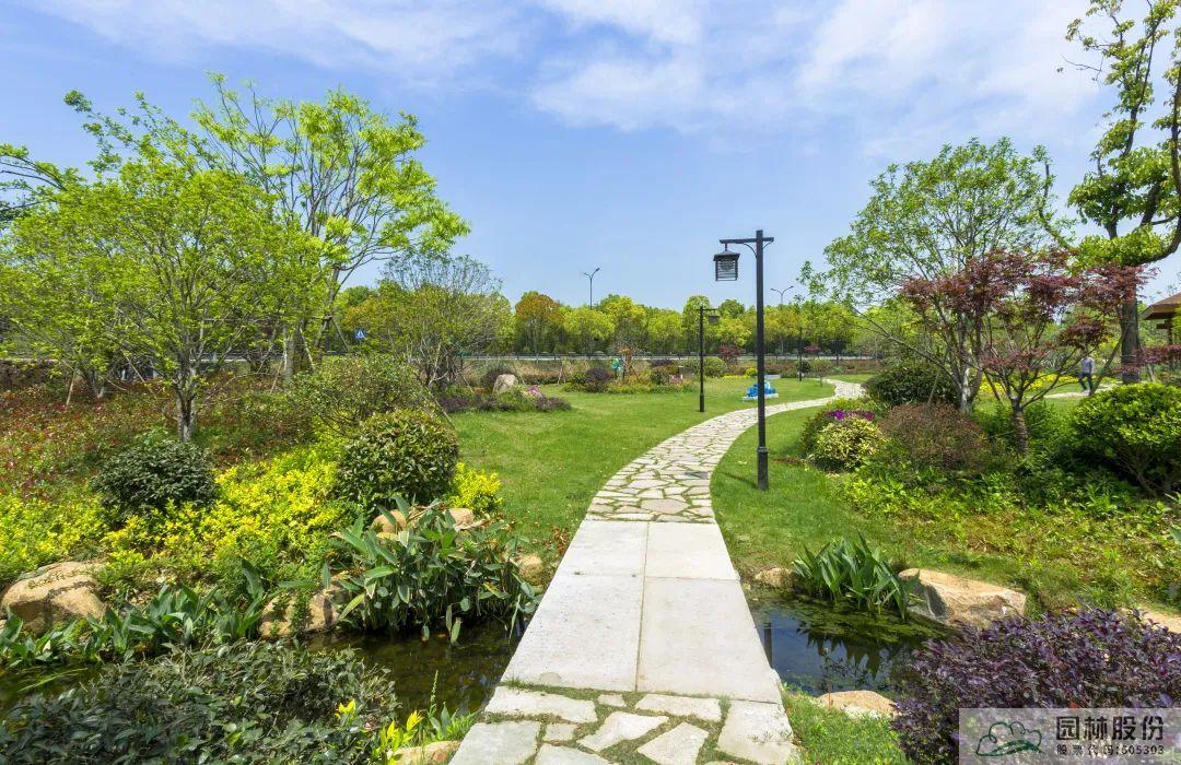 亚洲精品白浆高清久久久久久