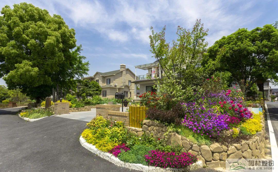 亚洲精品白浆高清久久久久久