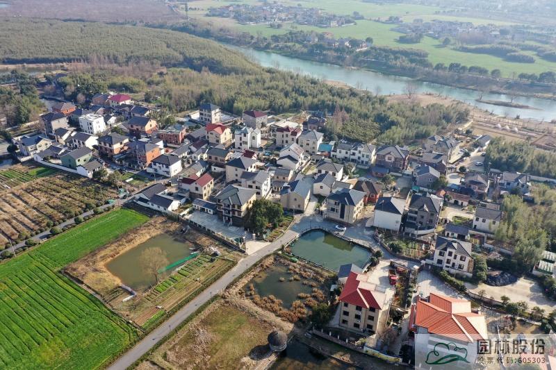 亚洲精品白浆高清久久久久久