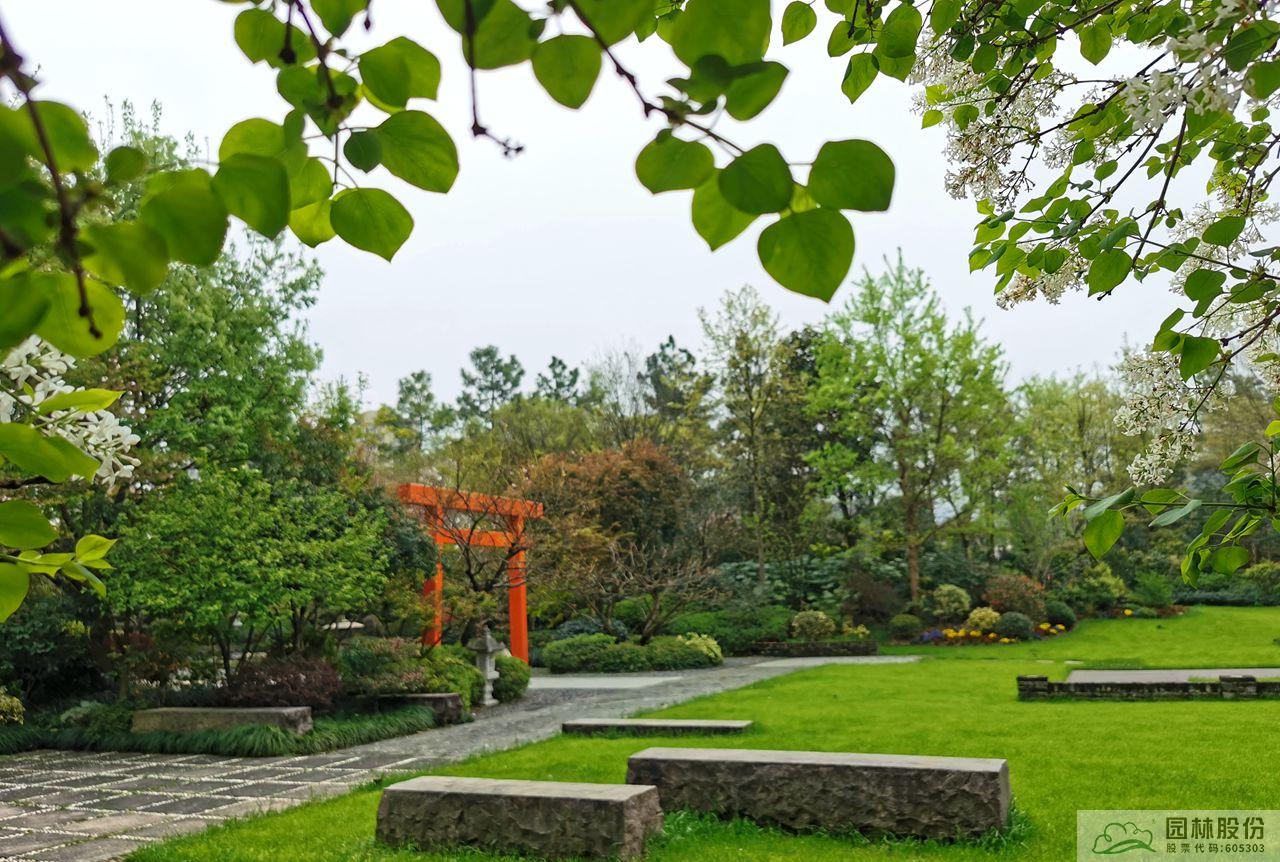 亚洲精品白浆高清久久久久久