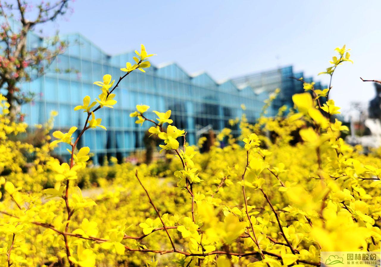 亚洲精品白浆高清久久久久久