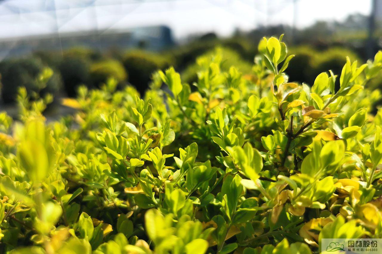 亚洲精品白浆高清久久久久久