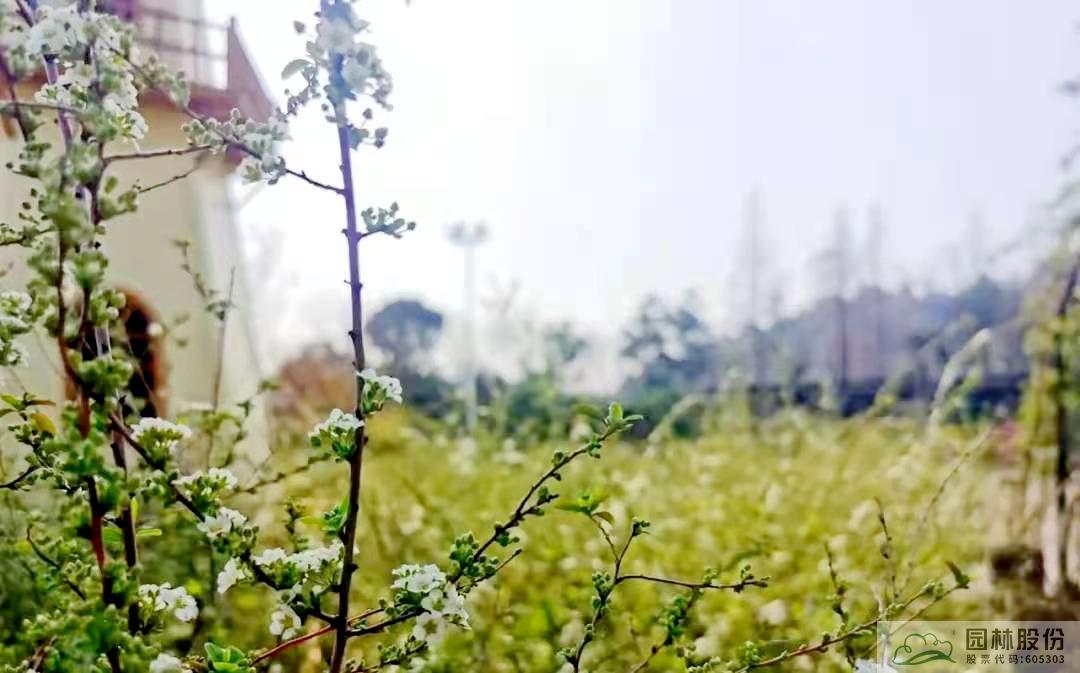 亚洲精品白浆高清久久久久久