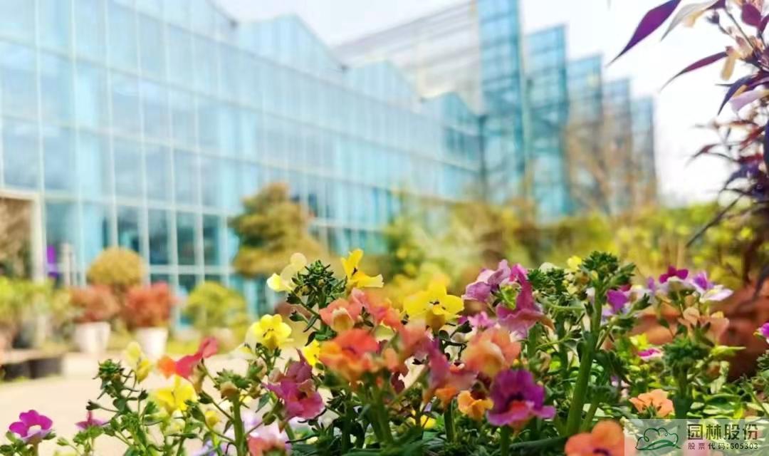 亚洲精品白浆高清久久久久久