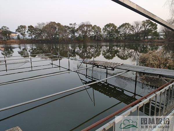 亚洲精品白浆高清久久久久久