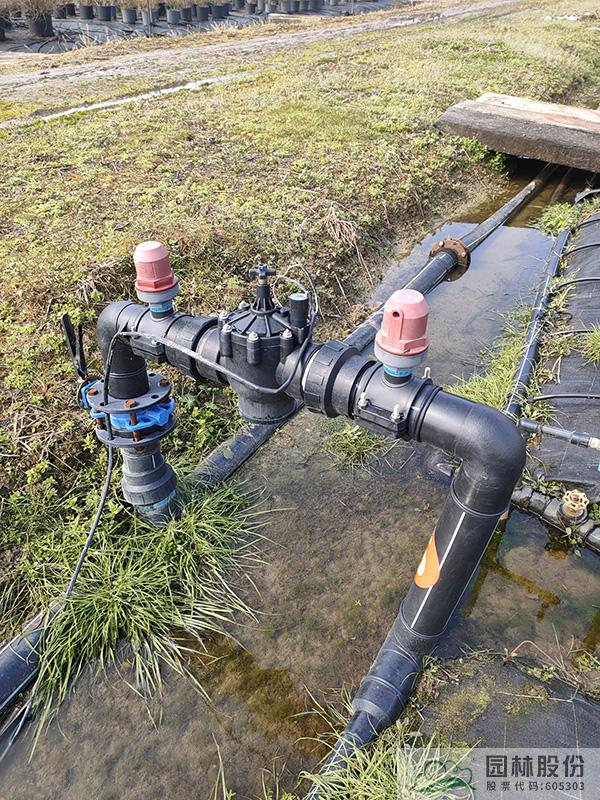 亚洲精品白浆高清久久久久久