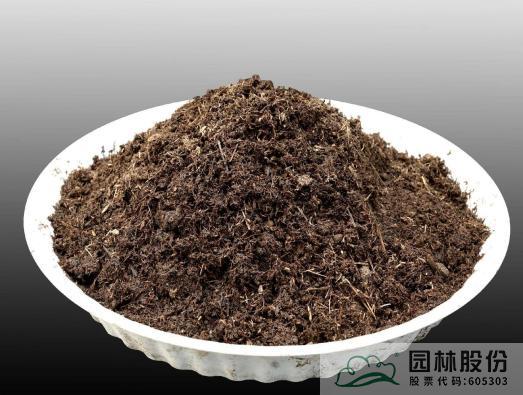 亚洲精品白浆高清久久久久久