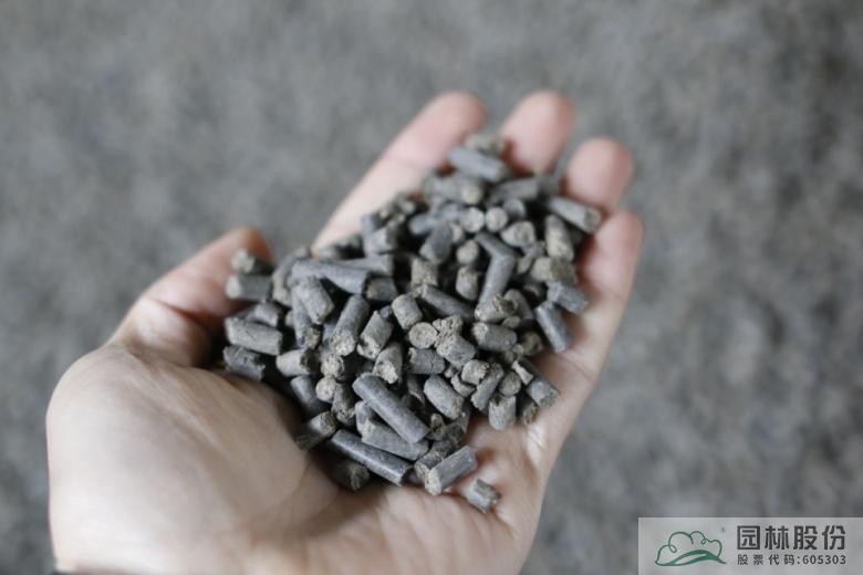 亚洲精品白浆高清久久久久久