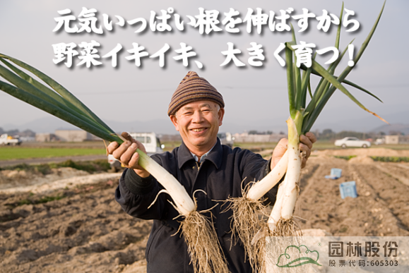 亚洲精品白浆高清久久久久久