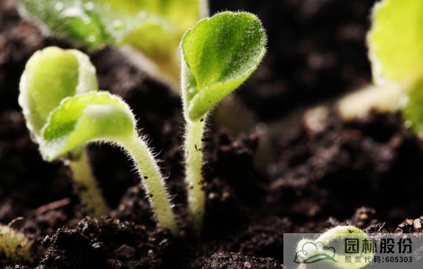 亚洲精品白浆高清久久久久久