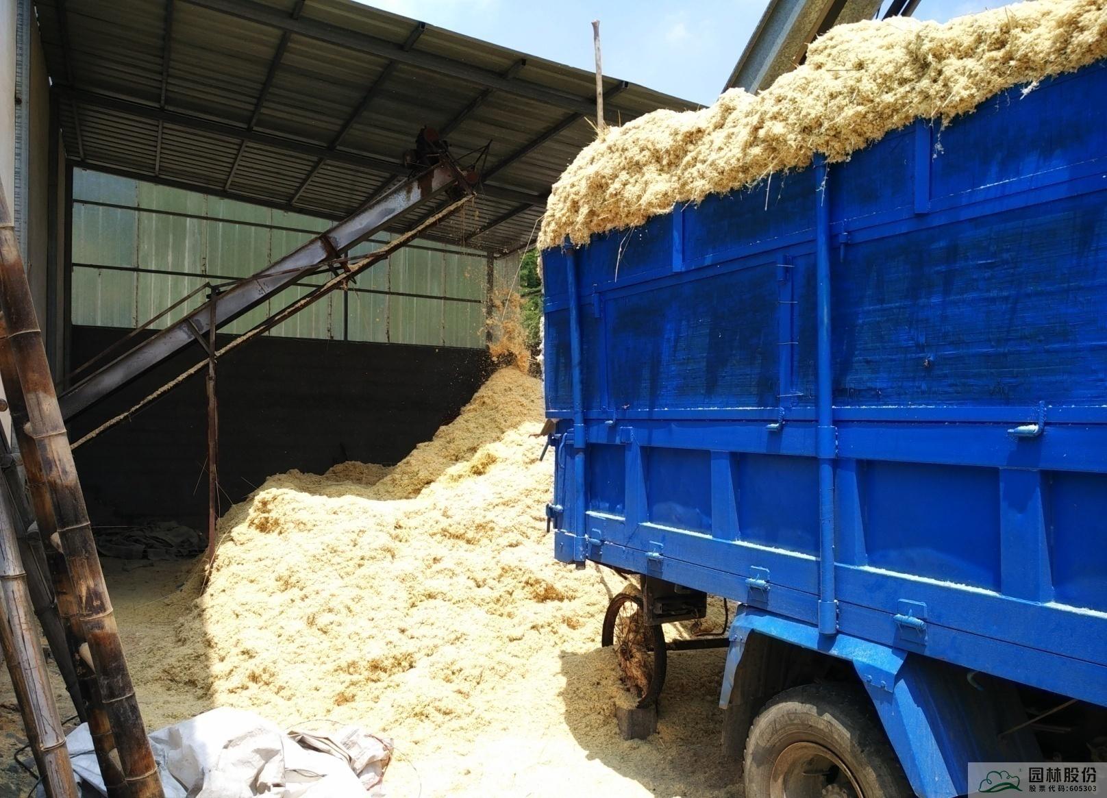 亚洲精品白浆高清久久久久久