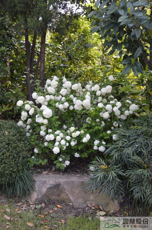 亚洲精品白浆高清久久久久久