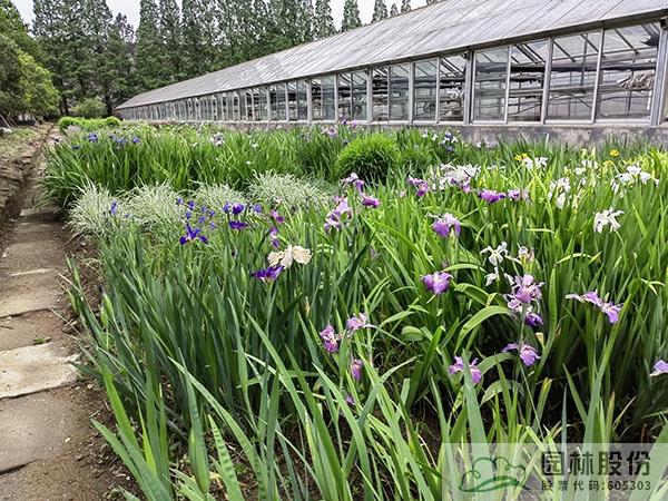 亚洲精品白浆高清久久久久久