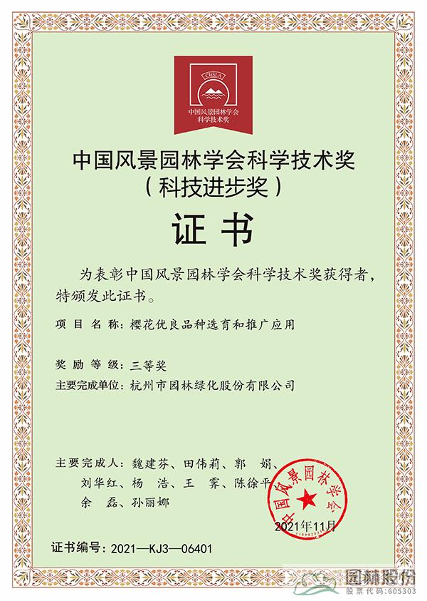 亚洲精品白浆高清久久久久久