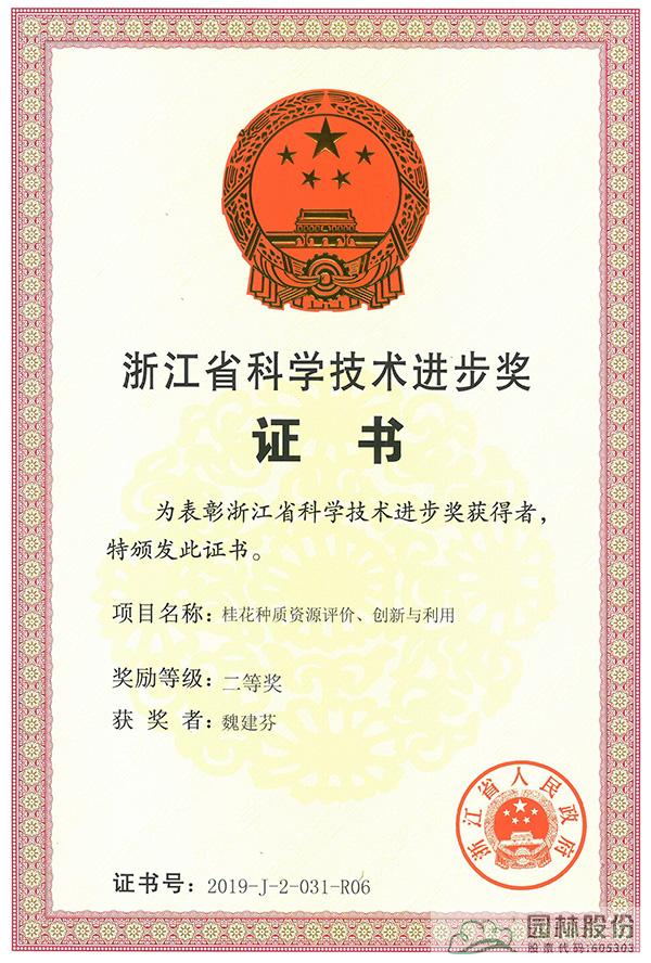 亚洲精品白浆高清久久久久久