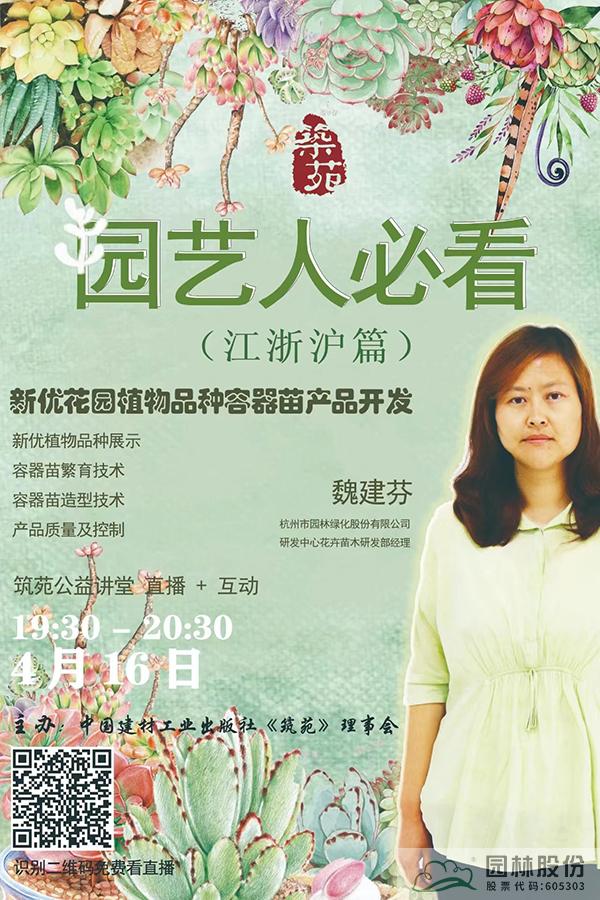 亚洲精品白浆高清久久久久久