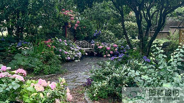 亚洲精品白浆高清久久久久久