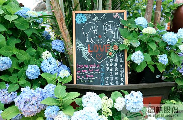 亚洲精品白浆高清久久久久久