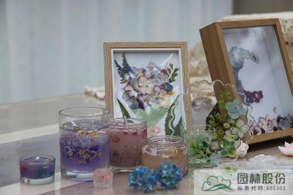 亚洲精品白浆高清久久久久久