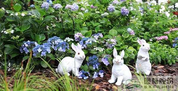 亚洲精品白浆高清久久久久久