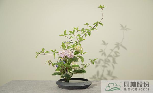 亚洲精品白浆高清久久久久久