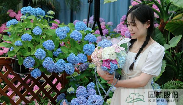 亚洲精品白浆高清久久久久久