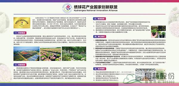 亚洲精品白浆高清久久久久久