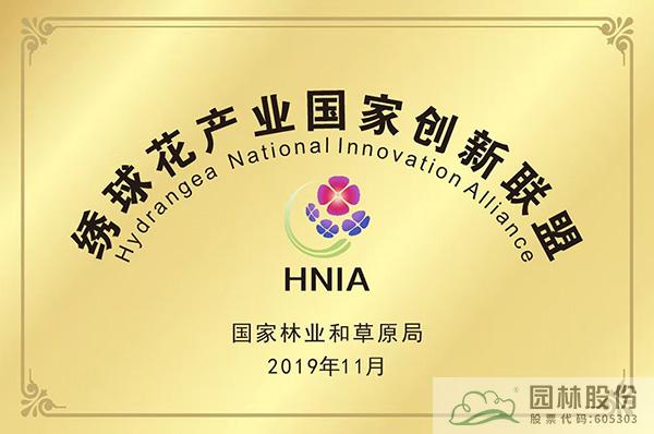 亚洲精品白浆高清久久久久久