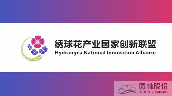 亚洲精品白浆高清久久久久久