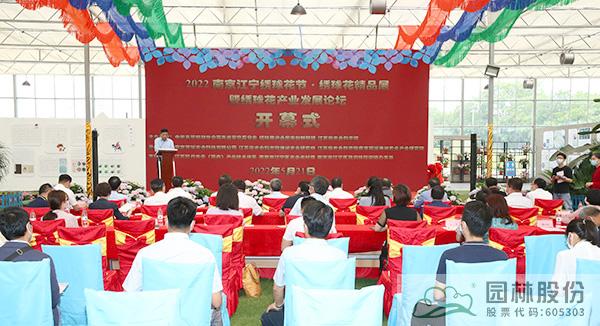 亚洲精品白浆高清久久久久久