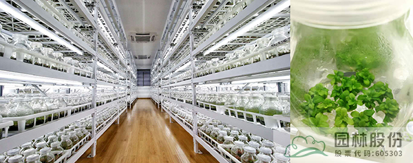 亚洲精品白浆高清久久久久久