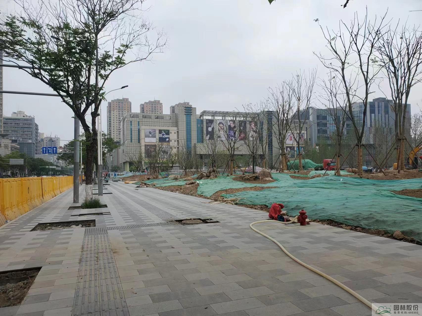 亚洲精品白浆高清久久久久久