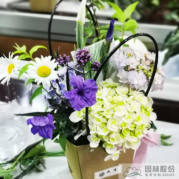 亚洲精品白浆高清久久久久久