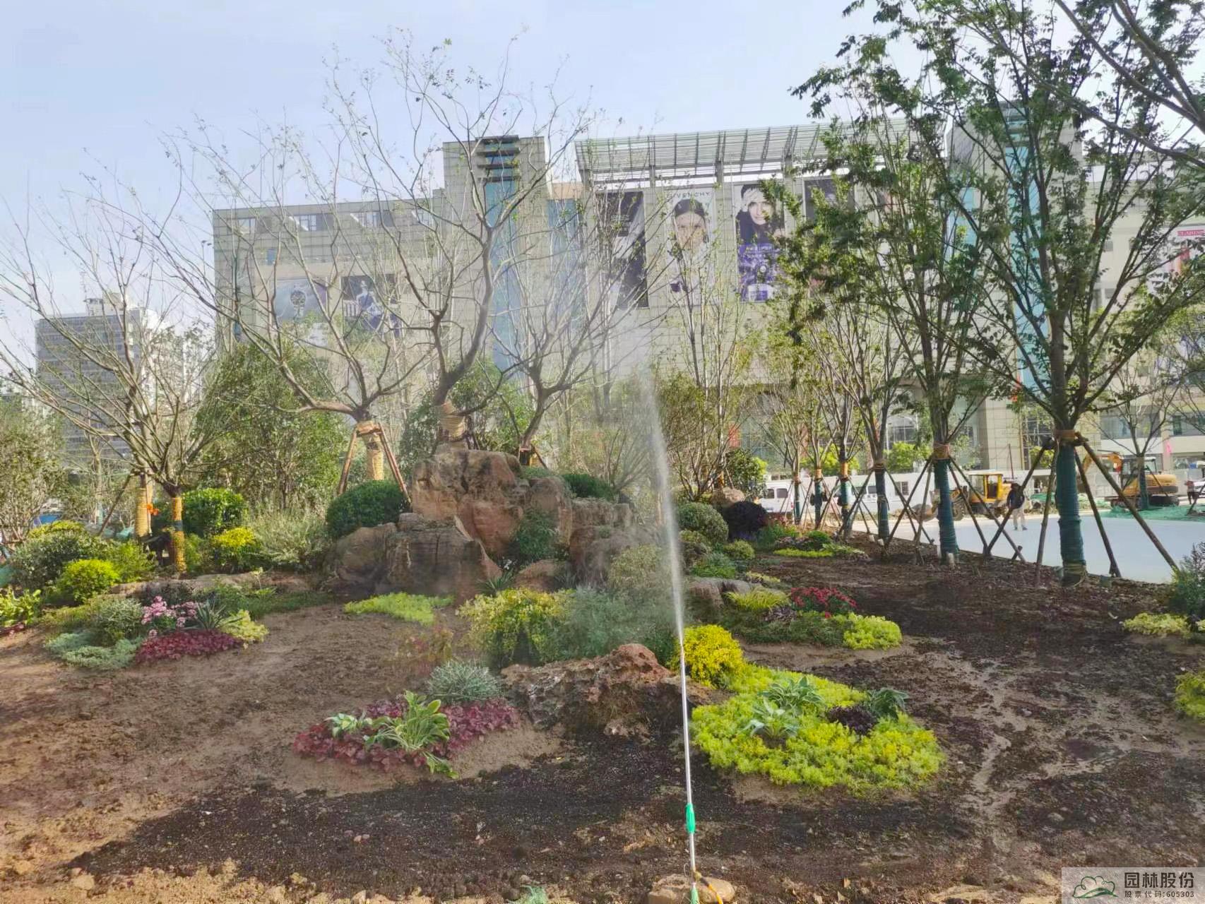 亚洲精品白浆高清久久久久久