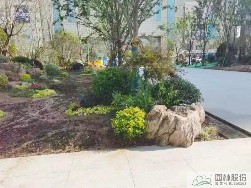 亚洲精品白浆高清久久久久久