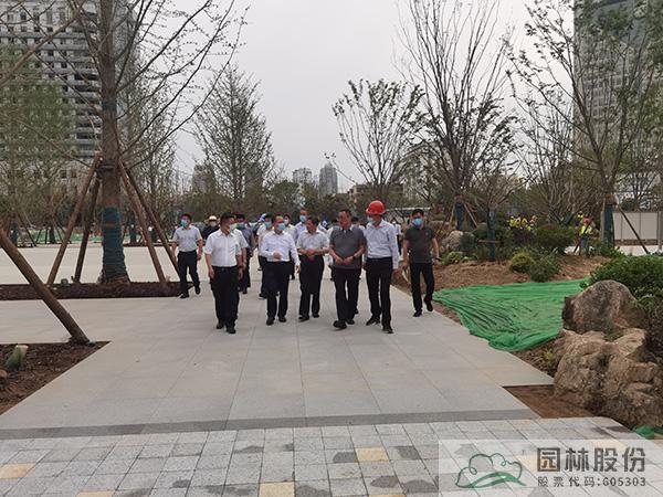 亚洲精品白浆高清久久久久久