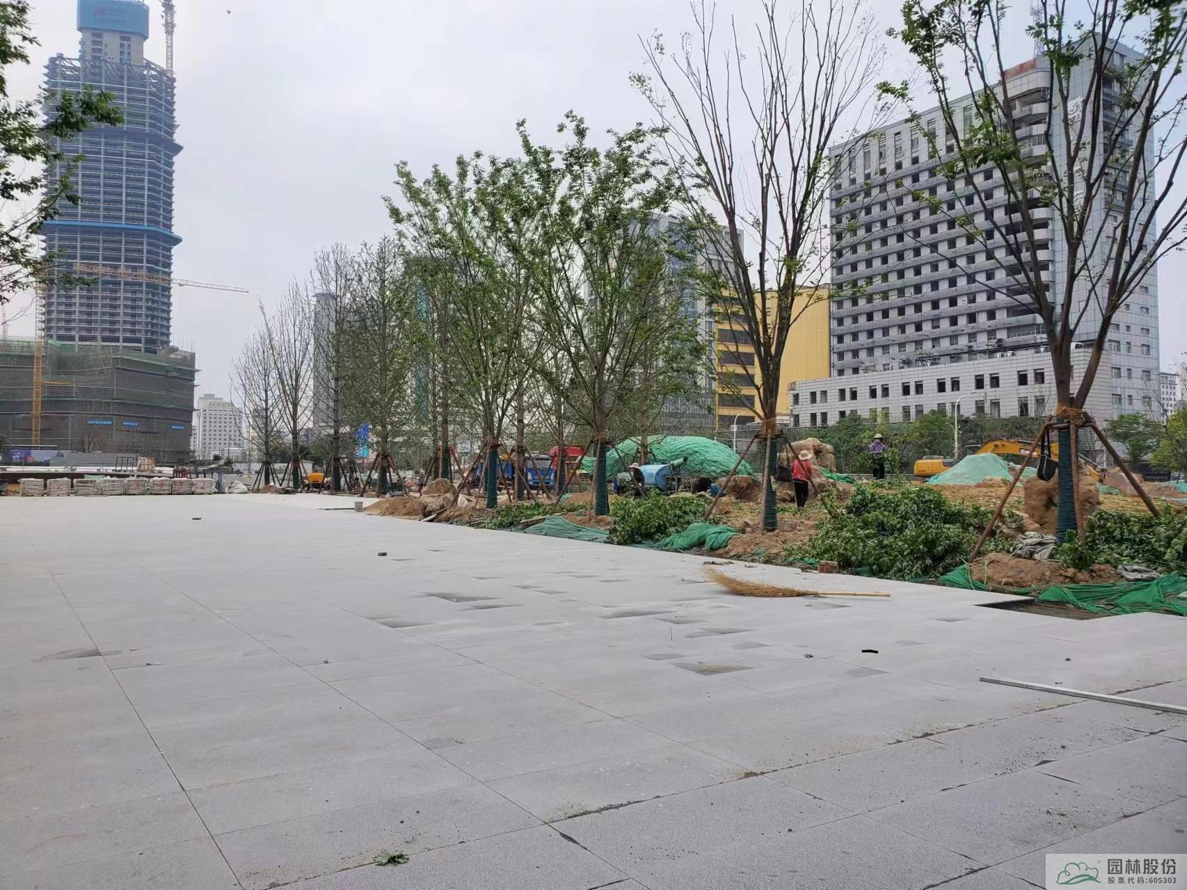 亚洲精品白浆高清久久久久久