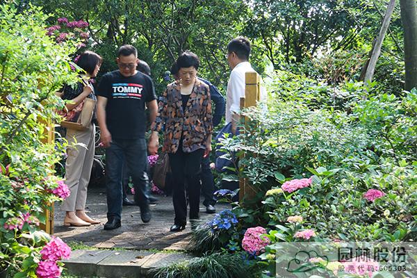 亚洲精品白浆高清久久久久久