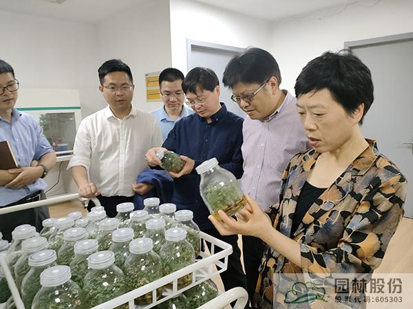 亚洲精品白浆高清久久久久久