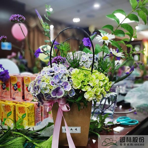 亚洲精品白浆高清久久久久久