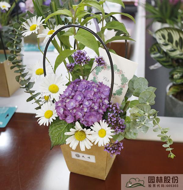 亚洲精品白浆高清久久久久久