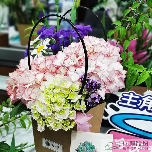 亚洲精品白浆高清久久久久久