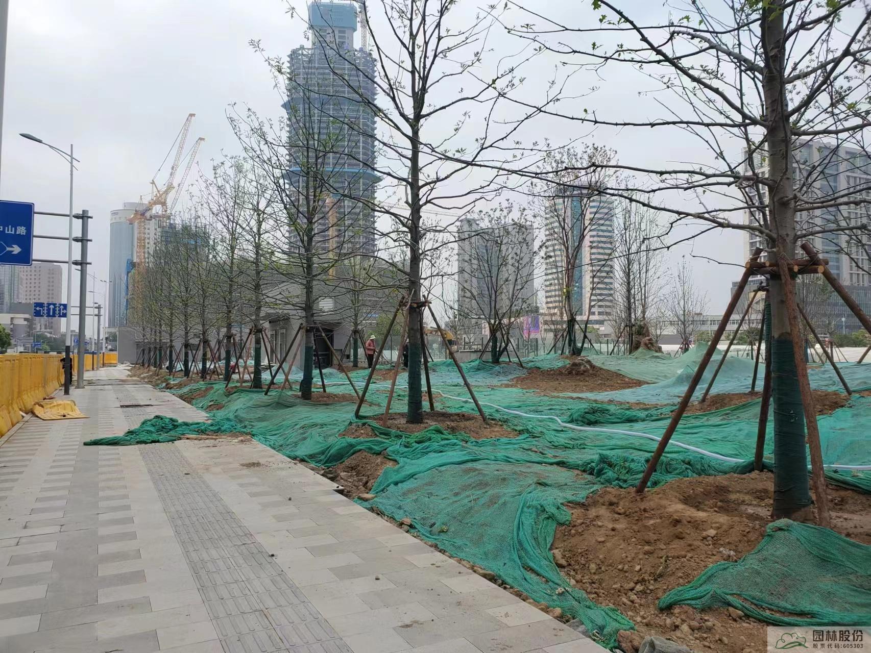 亚洲精品白浆高清久久久久久