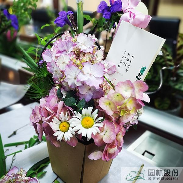 亚洲精品白浆高清久久久久久