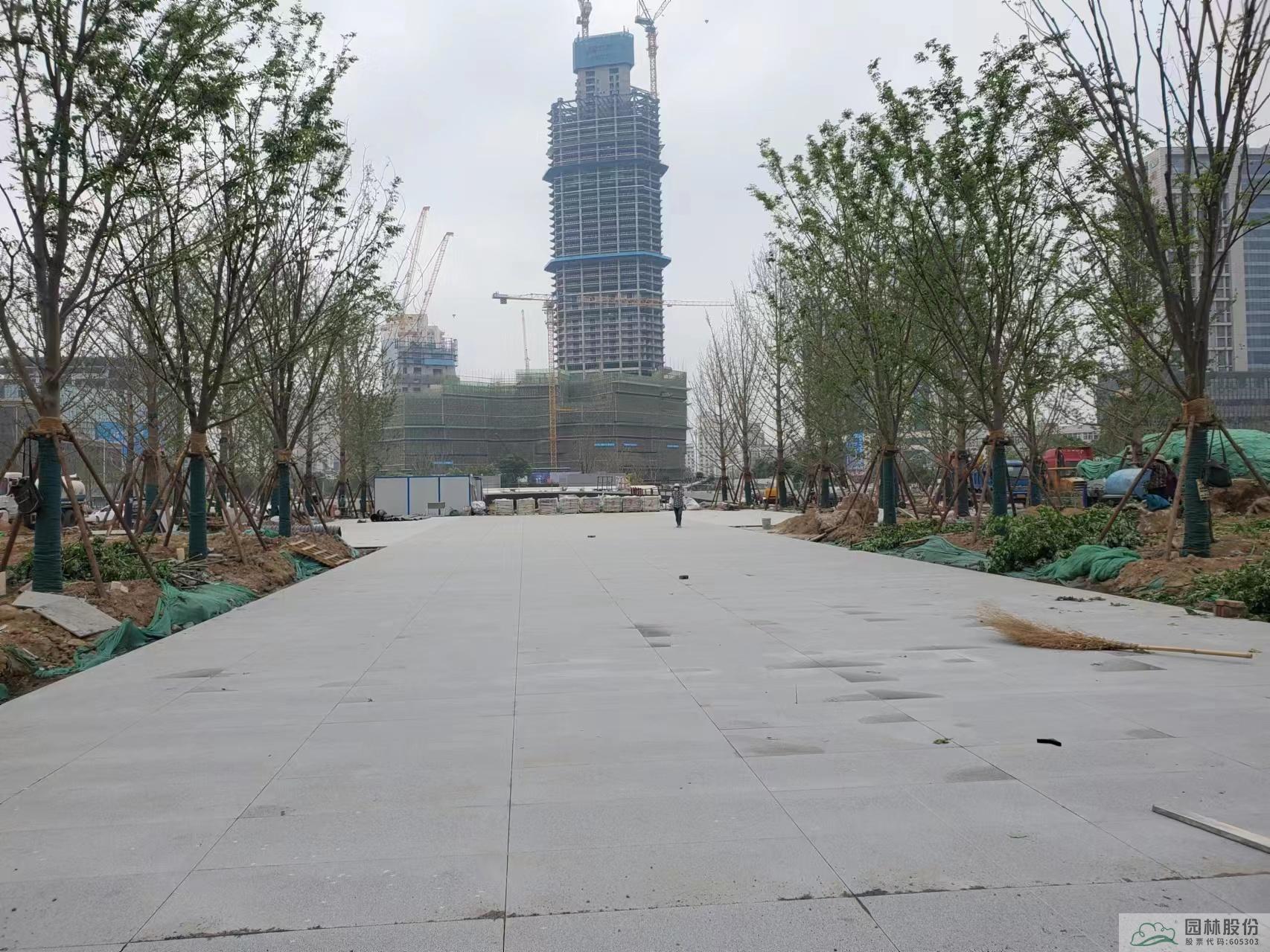 亚洲精品白浆高清久久久久久