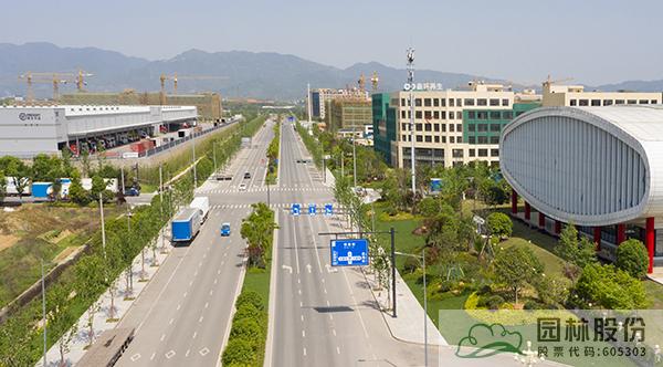 亚洲精品白浆高清久久久久久