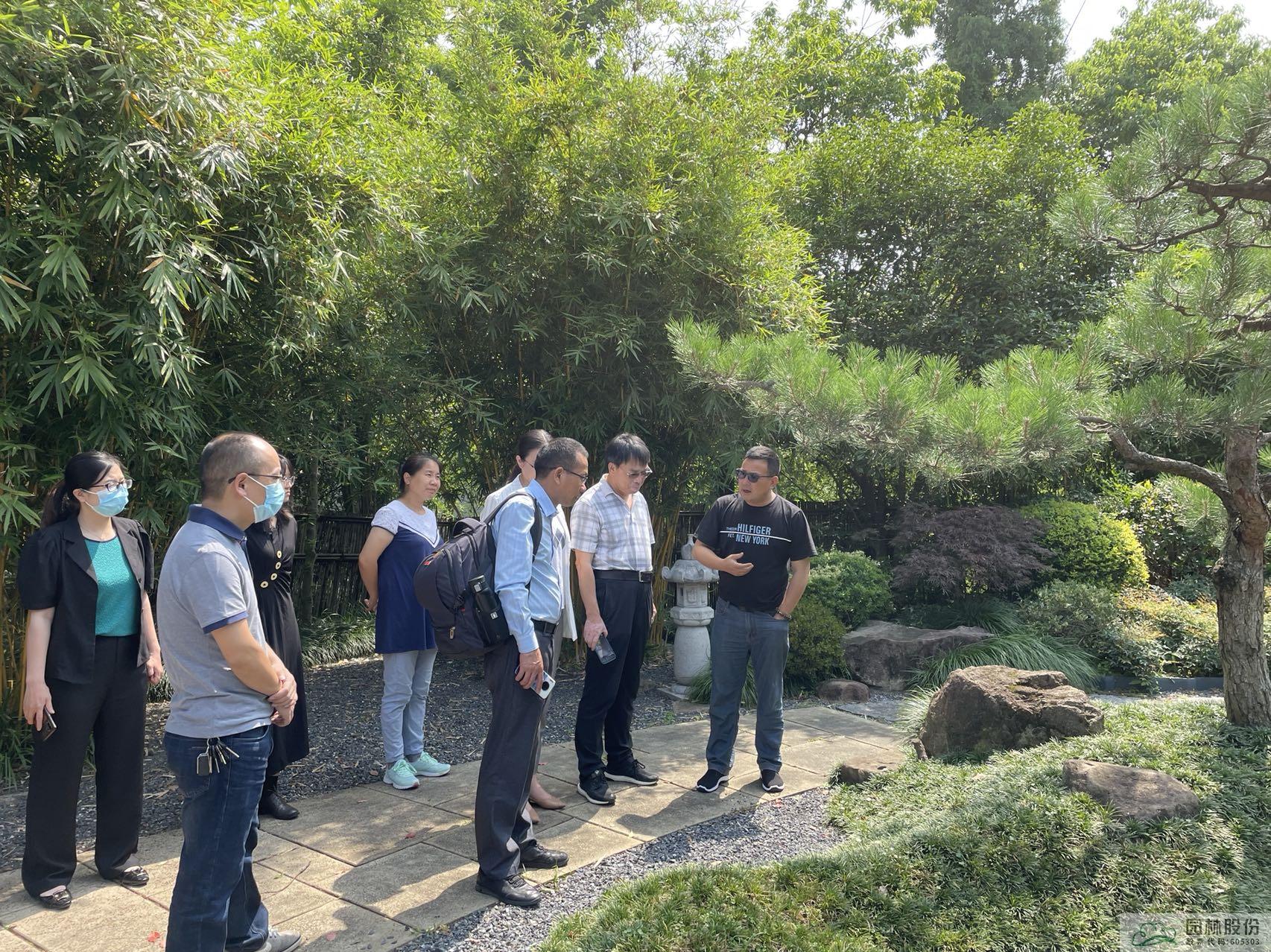 亚洲精品白浆高清久久久久久