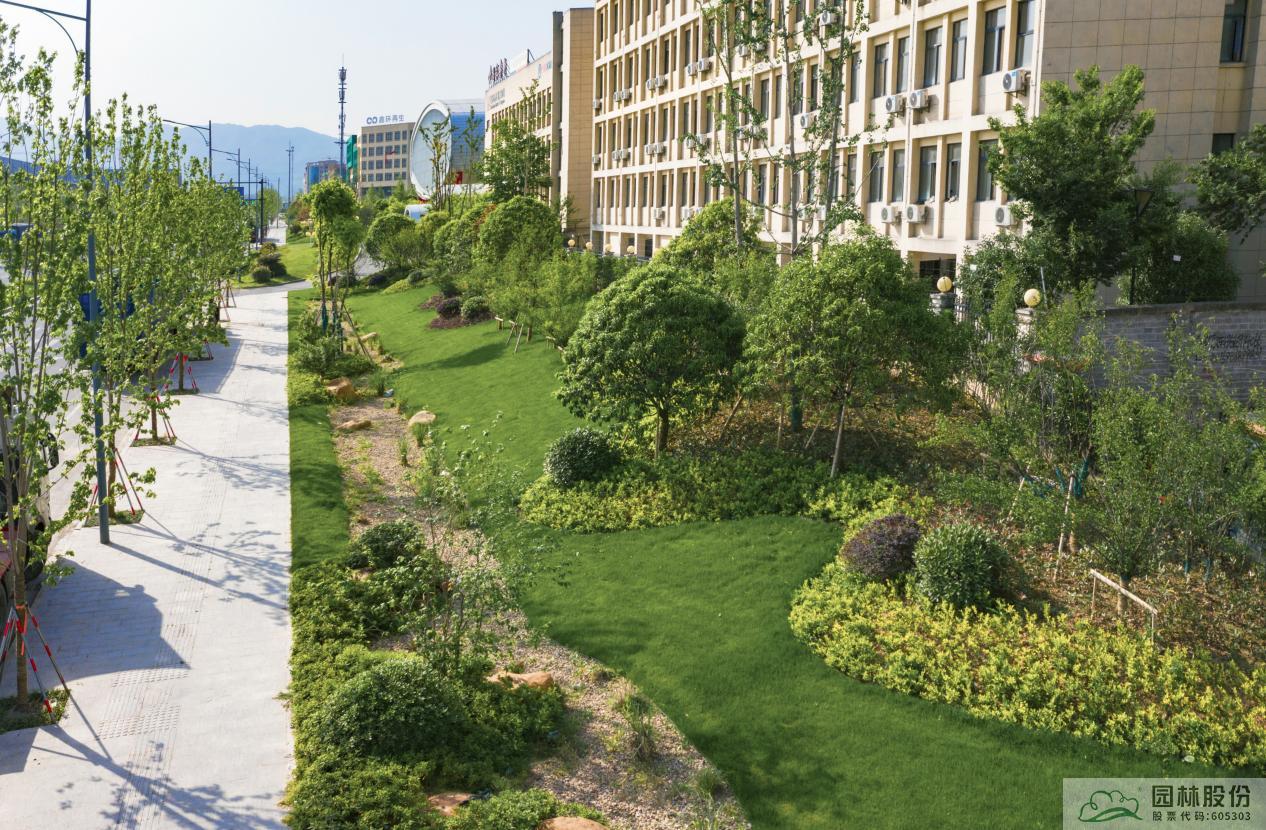 亚洲精品白浆高清久久久久久